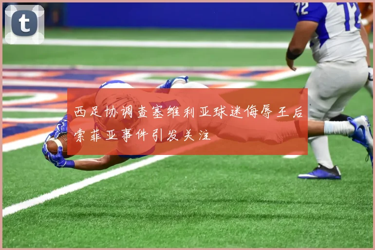西足协调查塞维利亚球迷侮辱王后索菲亚事件引发关注