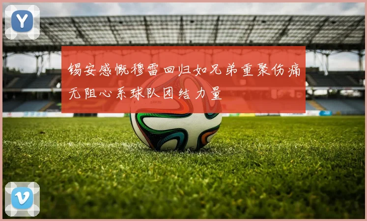 锡安感慨穆雷回归如兄弟重聚伤痛无阻心系球队团结力量
