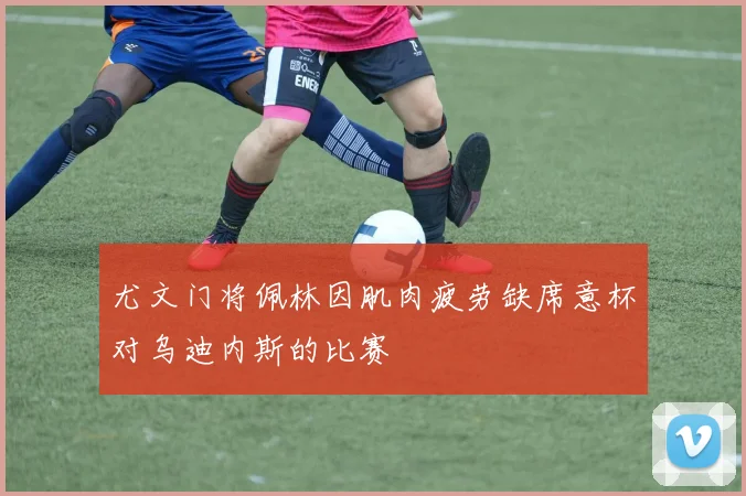 尤文门将佩林因肌肉疲劳缺席意杯对乌迪内斯的比赛