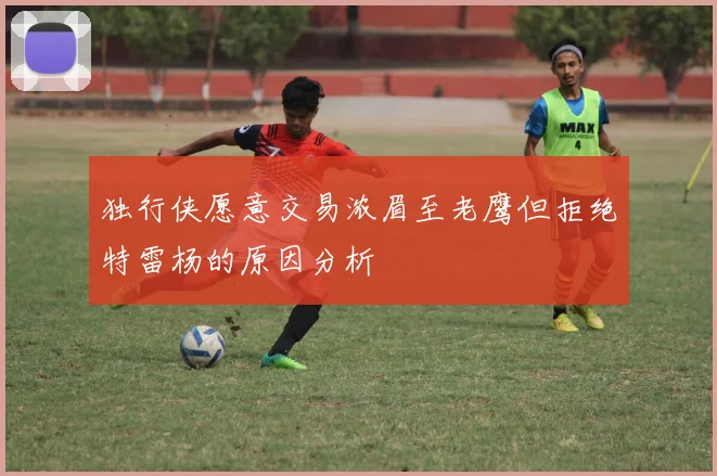 独行侠愿意交易浓眉至老鹰但拒绝特雷杨的原因分析