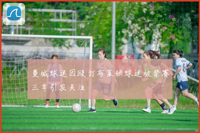 曼城球迷因殴打布莱顿球迷被禁赛三年引发关注